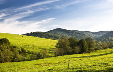 Sticker - View of green trees, meadow and mountains and blue sky..