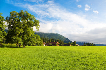 Alps morning landscape. Wide angle view.