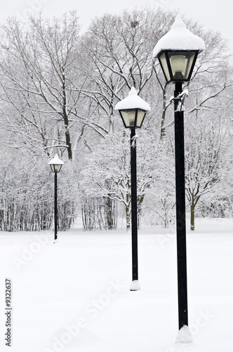 zimowy-park-pokryty-swiezym-bialym-sniegiem