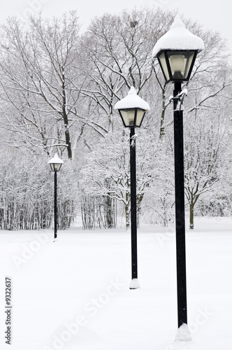 Fototapeta na wymiar Winter park covered with fresh white snow