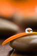 Leinwanddruck Bild - Orange flower petal with drop of water