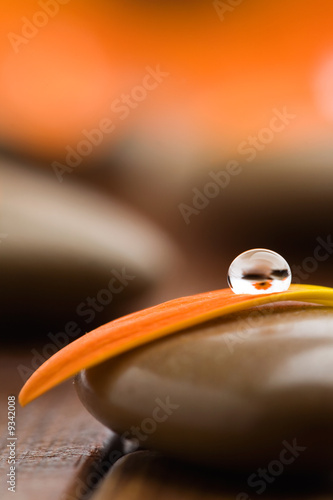 Foto-Banner aus PVC - Orange flower petal with drop of water (von Kati Finell)