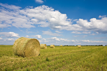 agriculture series: field with ready hayrick