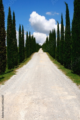 Foto-Leinwand ohne Rahmen - Wolkenhimmel,Zypressen, der Weg ist das Ziel,Toskana, (von PANORAMO)