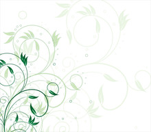 Background With Green Flower