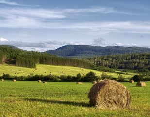 Hay bales in a field with forest and mountain in background