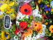 © danimages - étalage de fleurs