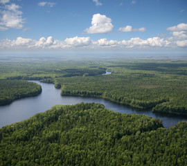the view overhand the river on green forest plain.