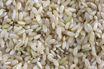 Golden rose, medium grain,  brown rice