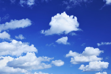 Wall Mural - deep blue sky and lots small clouds, may be used as background