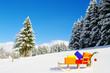 canvas print picture - colorful presents on a sledge in a winter landscape.....