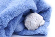 Towel And Seashell