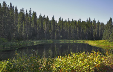 Sticker - The silent mountain lake surrounded by fur-trees and bushes