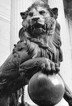 Lion King - Bronze Statue Of A Lion