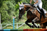 Fototapeta Konie - Horse theme: jockeys, horse races, speed.