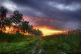 Fototapeta Natura - Sunset in fields