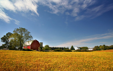 scenic farm landscape