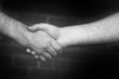 © ArenaCreative - Two business men shaking hand in black and white