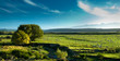 Panoramic view of rural scenery, fiordland, new zealand.