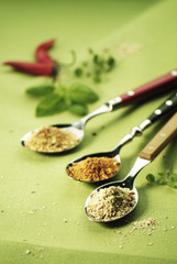 Poster - Spices