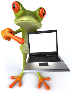Grenouille avec un ordinateur portable