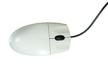 computer mouse