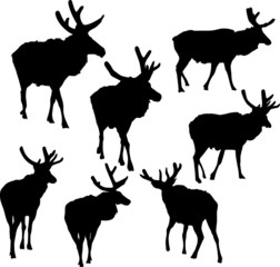 Wall Mural - seven deer silhouettes