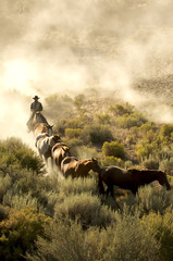 Fototapeta ranczo dziki koń
