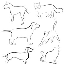 Dog And Cat Designs