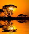 african sunset with reflection, kenya