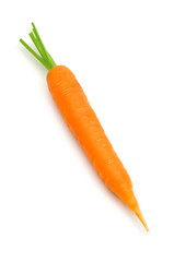 Wall Mural - one carrot on white background