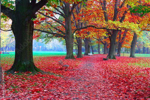 jesien-w-parku-czerwone-pomaranczowe-i-zolte-liscie