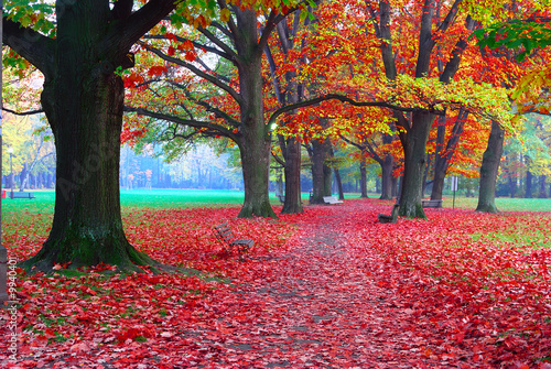 Obraz w ramie autumn in park