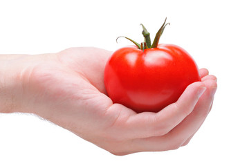 Poster - Hand holding a red tomato