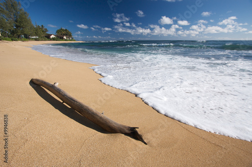 Board z aluminiowym obramowaniem Tropikalna linia brzegowa i driftwood na Kauai, Hawaje