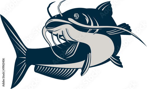 Download Catfish Stock Vector Adobe Stock
