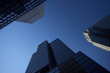 amazing view up to skyscrapers and blue sky