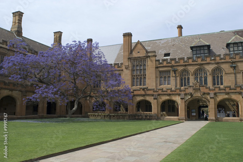 Obraz na płótnie canvas dwuczęściowy "dyptyk" Architektura gotycka odrodzenie na uniwersytecie sydney, australia