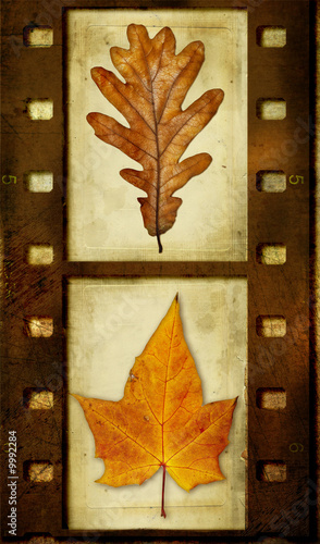 autumn pictures - vintage art