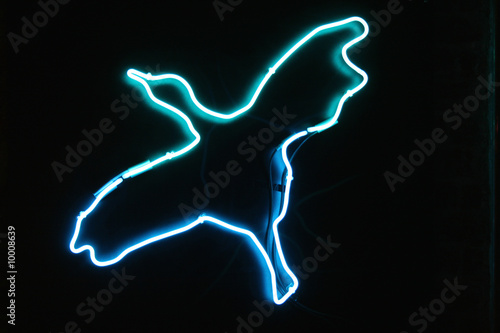 Neon Bird Buy This Stock Photo And Explore Similar Images At Adobe Stock Adobe Stock adobe stock