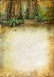 Redwood forest above a grunge background with copy-space