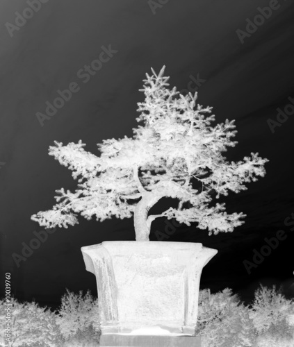 Board z aluminiowym obramowaniem Bonsai