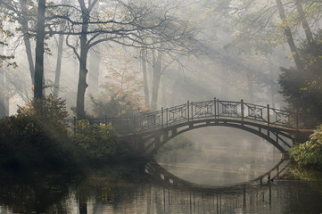 Poster - Old bridge in misty autumn park