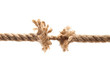 © Ivan Kmit - torn rope isolated on white