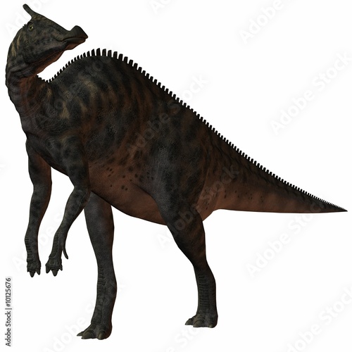 Saurolophus Angustirostris 3d Dinosaurier Buy This Stock Illustration And Explore Similar Illustrations At Adobe Stock Adobe Stock