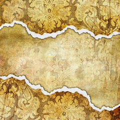 Wall Mural - vintage tattered background