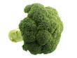 © Nigel Monckton - Head of broccoli isolated on white