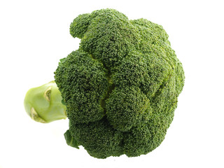 Head of broccoli isolated on white