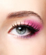 © Valua Vitaly - Beautiful pink make-up. macro shot of female human eye