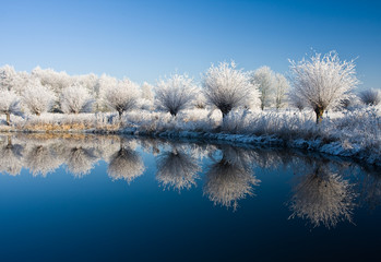 frost and a blue sky